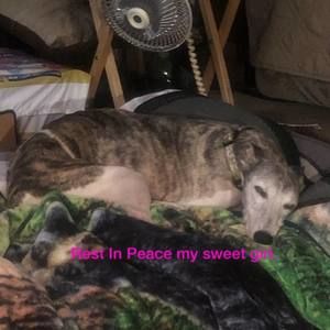 Meet your Posher, Terri